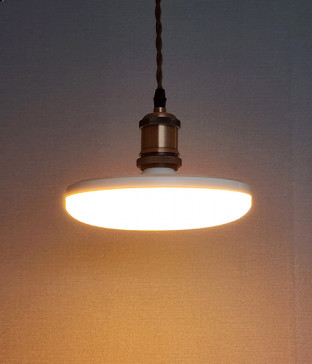 쥬프 고성능 해충 방지 램프 LED 30W